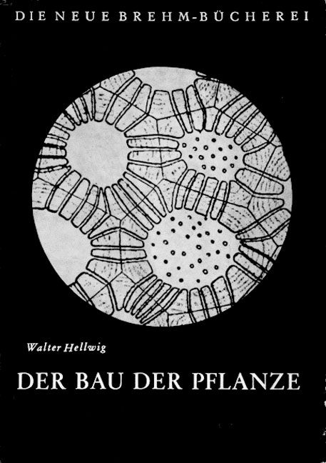 Der Bau der Pflanze - Walter Hellwig