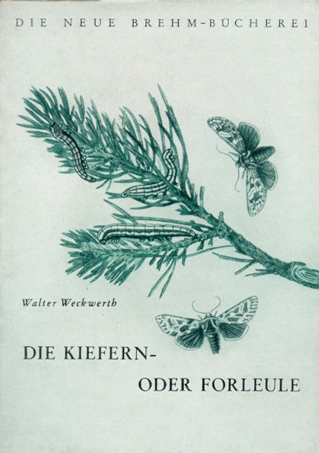 Die Kiefern- oder Forleule - Walter Weckwerth
