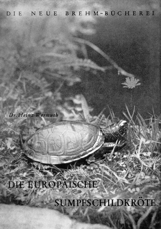 Die Europäische Sumpfschildkröte