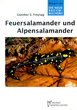 Feuersalamander und Alpensalamander