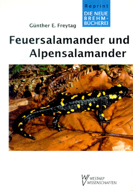 Feuersalamander und Alpensalamander - G&uuml;nther E Freytag