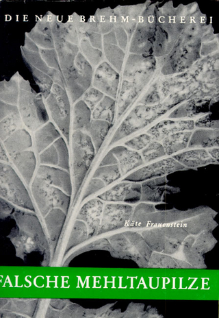 Falsche Mehltaupilze