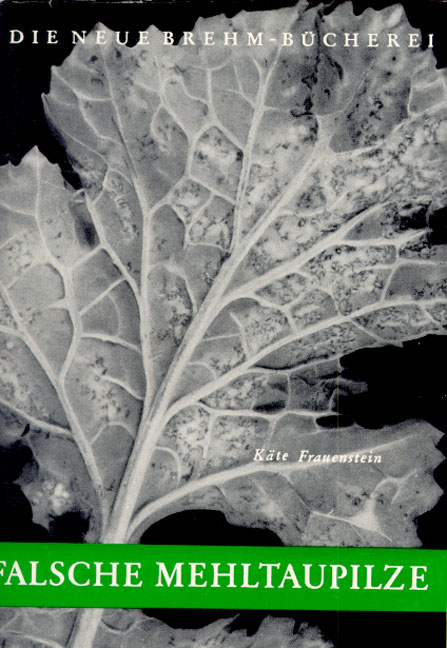 Falsche Mehltaupilze - K&auml;the Frauenstein