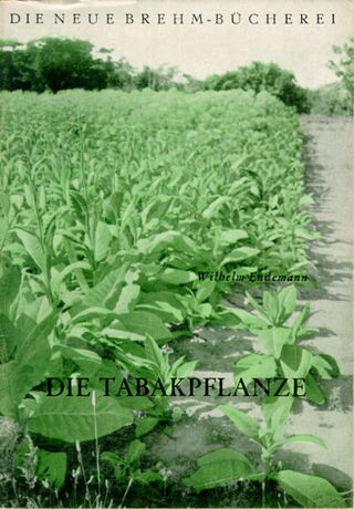 Die Tabakpflanze