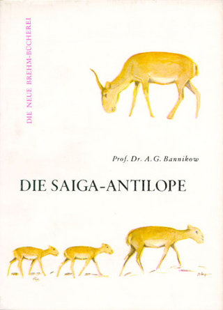 Die Saiga-Antilope