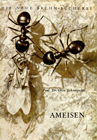 Ameisen