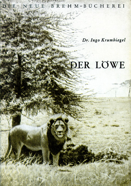 Der L&ouml;we - Ingo Krumbiegel