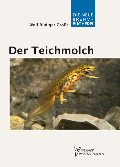 Der Teichmolch - Wolf-R&uuml;diger Gro&szlig;e