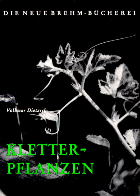 Kletterpflanzen - Volkmar Dietzsch