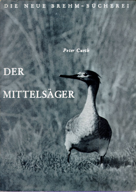 Der Mittels&auml;ger - Peter Curth