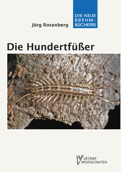 Die Hundertf&uuml;&szlig;er - J&ouml;rg Rosenberg