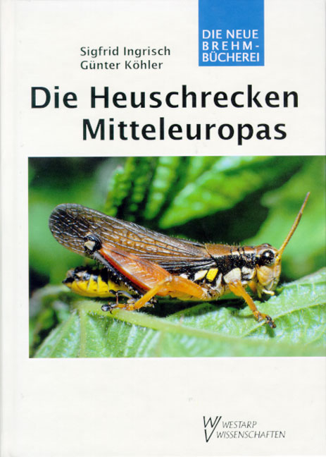 Die Heuschrecken Mitteleuropas - Siegfried Ingrisch, G&uuml;nter K&ouml;hler