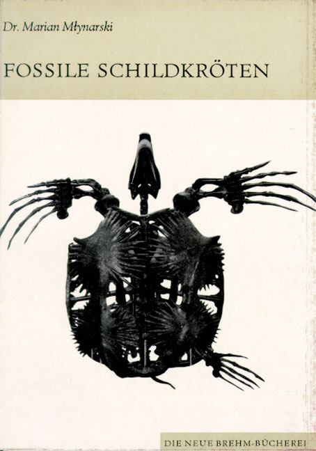 Fossile Schildkr&ouml;ten - Marian Mlynarski