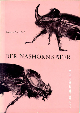 Der Nashornkäfer