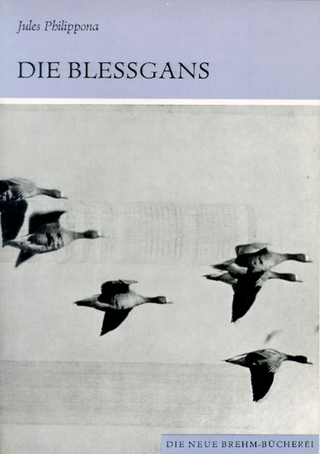 Die Bleßgans