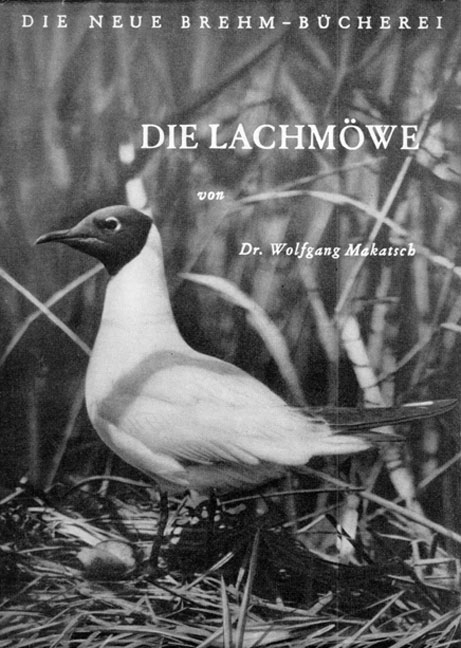 Die Lachm&ouml;we - Wolfgang Makatsch
