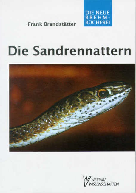 Die Sandrennattern - Frank Brandst&auml;tter