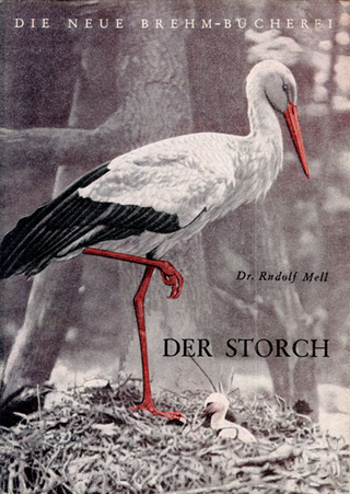 Der Storch