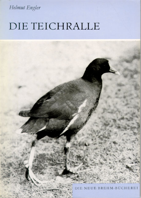 Die Teichralle - Helmut Engler