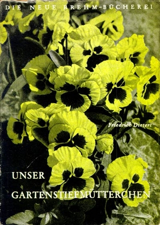 Unser Gartenstiefmütterchen