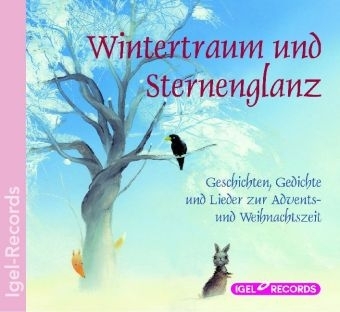 Wintertraum und Sternenglanz