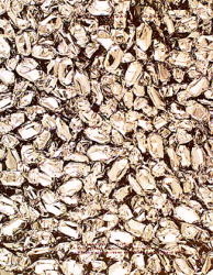 Felix Gonzales-Torres - 