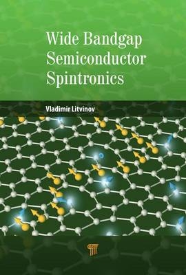 Wide Bandgap Semiconductor Spintronics -  Vladimir Litvinov