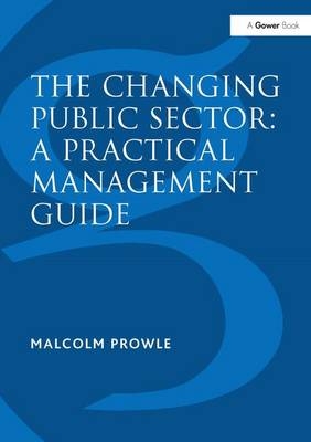 Changing Public Sector: A Practical Management Guide