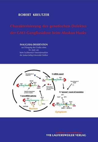 Charakterisierung des genetischen Defektes der GM1-Gangliosidose beim Alaskan Husky