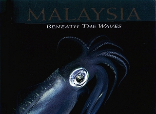 Malaysia - Beneath the Waves