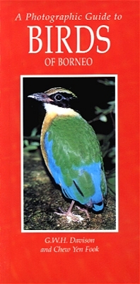 Vögel in Borneo