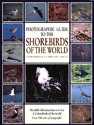 Vögel in Uferbereichen der Welt