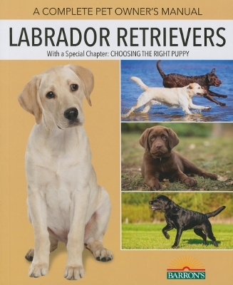 Labrador Retrievers - Joan Hustace Walker