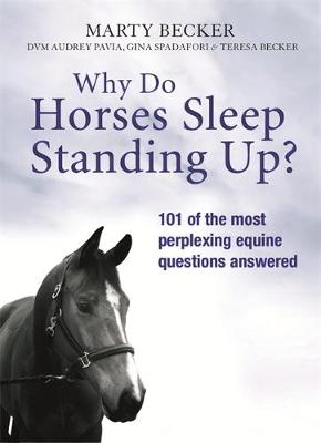 Why Do Horses Sleep Standing Up? -  Marty Becker