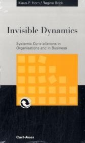 Invisible Dynamics - Klaus P Horn, Regine Brick