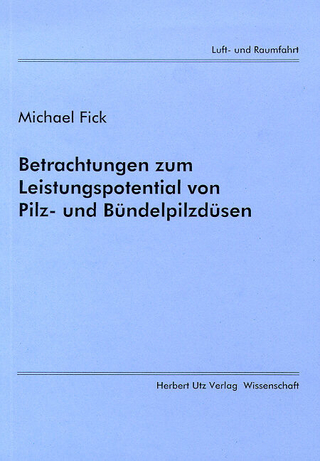 Betrachtungen zum Leistungspotential von Pilz- und Bündelpilzdüsen