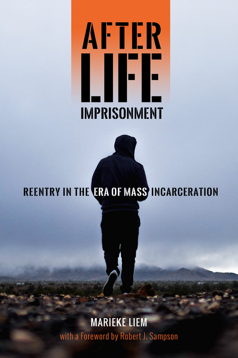 After Life Imprisonment - Marieke Liem