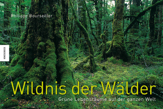 Wildnis der Wälder