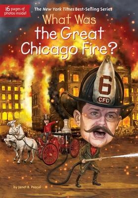 What Was the Great Chicago Fire? -  Tim Foley,  Janet B. Pascal