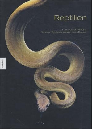 Reptilien - Paul Starosta, Teddy Moncuit, Karim Daoues