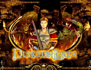 Dungeon Lords, DVD-ROM