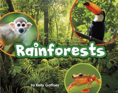 Rainforests -  Kelly Gaffney