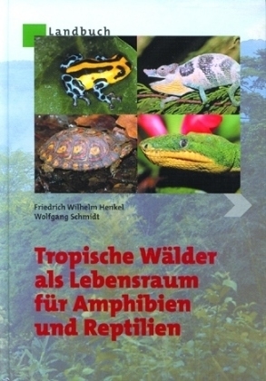Tropische Wälder als Lebensraum für Amphibien und Reptilien - Friedrich-Wilhelm Henkel, Wolfgang Schmidt