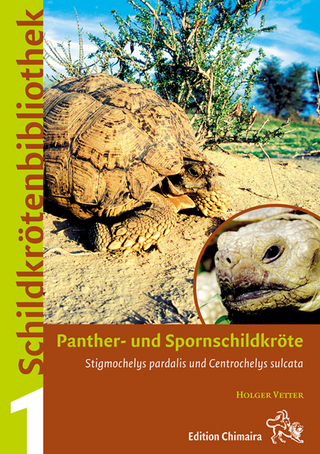 Panther- und Spornschildkröte