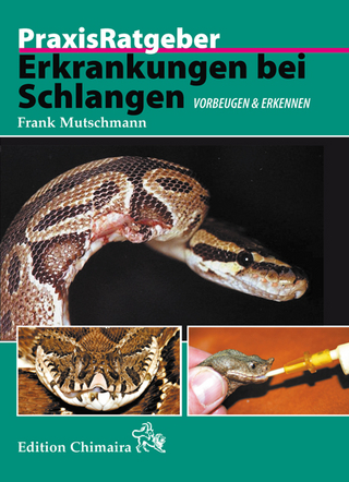 Erkrankungen bei Schlangen