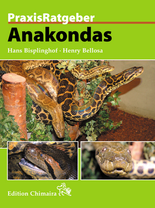 Anakondas