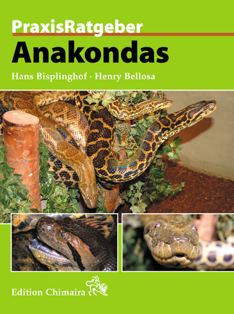 Anakondas - Hans Bisplinghof, Henry Bellosa