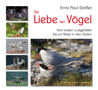 Die Liebe der Vögel