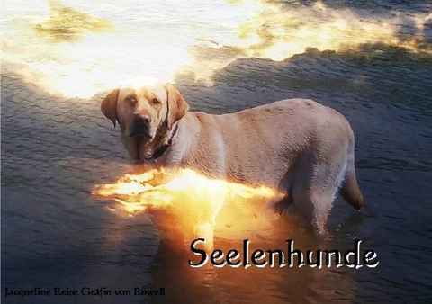 Seelenhunde - Jacqueline Reise Gr&auml;fin von Rowell
