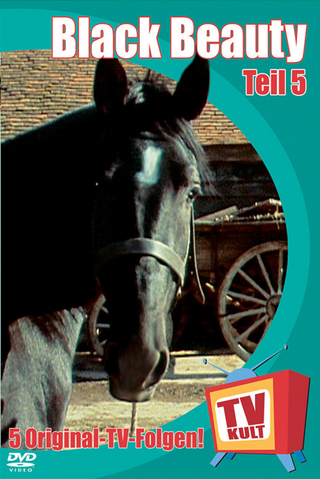 Black Beauty - DVDs